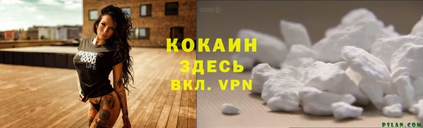 PSILOCYBIN Липки