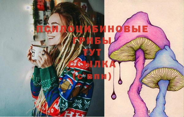 PSILOCYBIN Липки