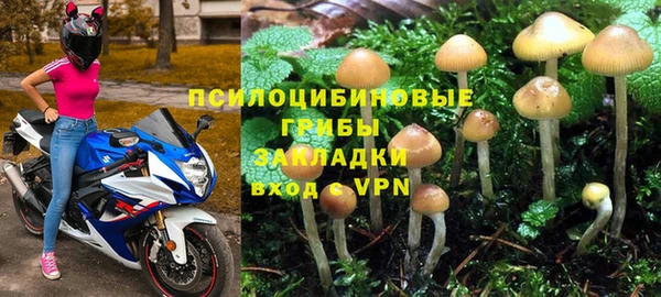 ALPHA PVP Магадан