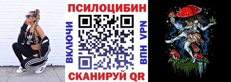 это наркотические препараты  Вышний Волочёк  Псилоцибиновые грибы Cubensis  где найти наркотики 